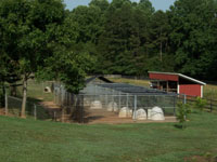 Run in shed in back field