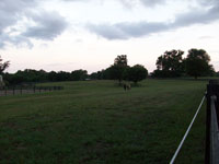 Larger front fields